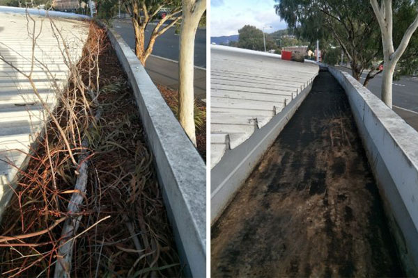 SNS Absolute Roofing before and after gutter cleaning